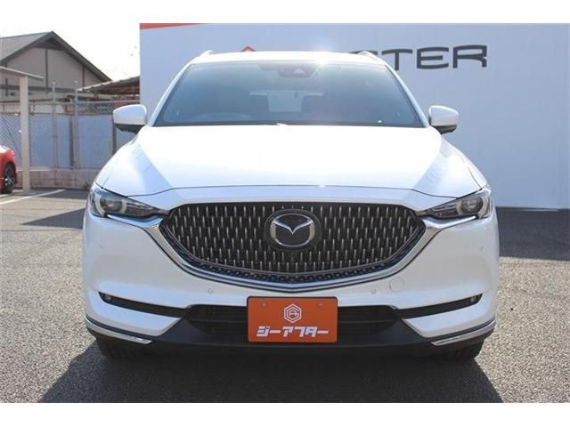 CX-8