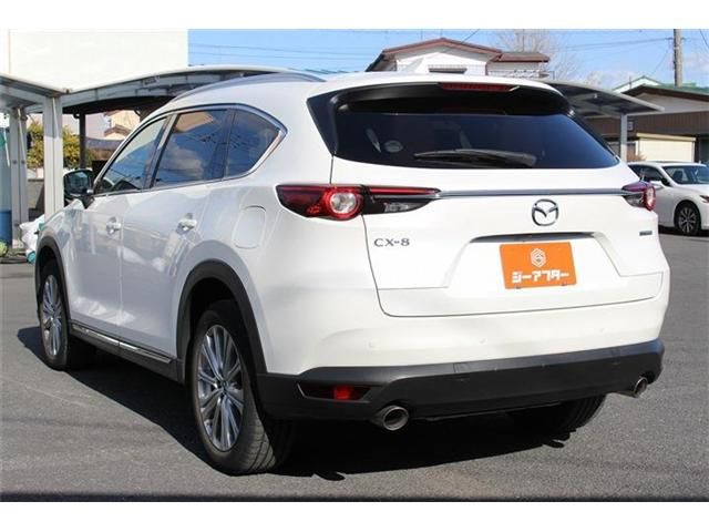 CX-8