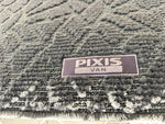 PIXIS van