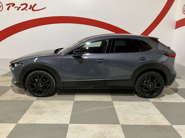 CX-30