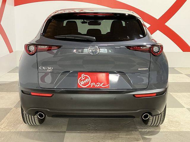 CX-30