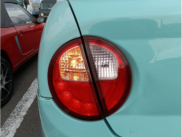ALTO LAPIN