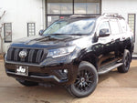 LANDCRUISER PRADO