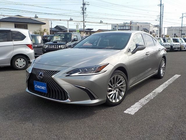 LEXUS ES300h