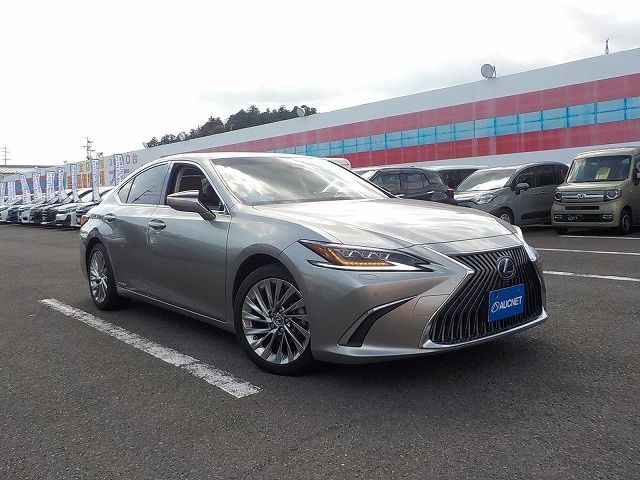 LEXUS ES300h