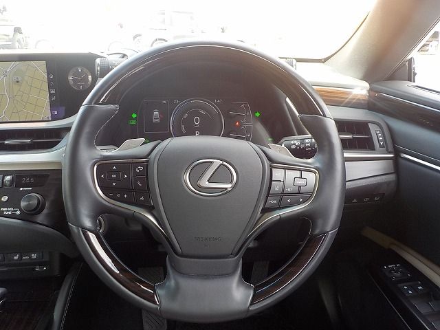 LEXUS ES300h