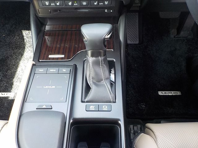 LEXUS ES300h