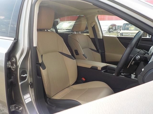 LEXUS ES300h