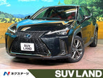LEXUS UX250h
