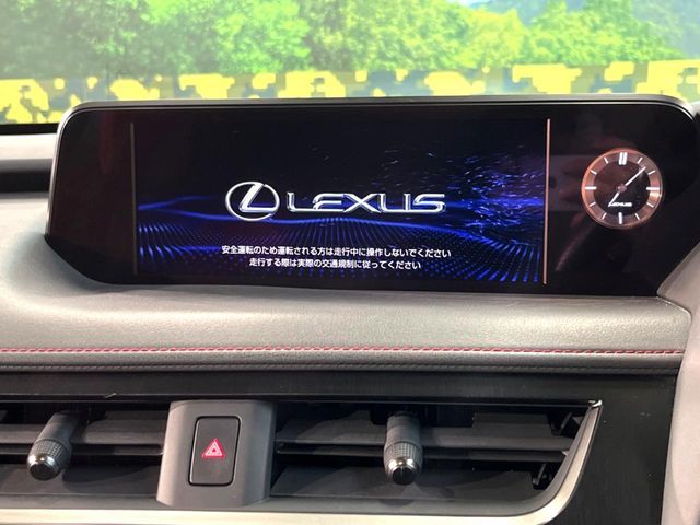 LEXUS UX250h