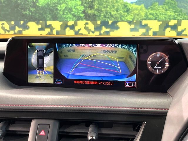 LEXUS UX250h