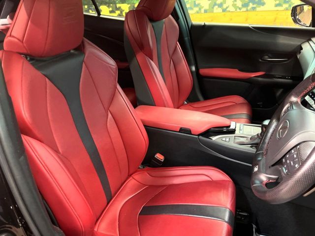 LEXUS UX250h