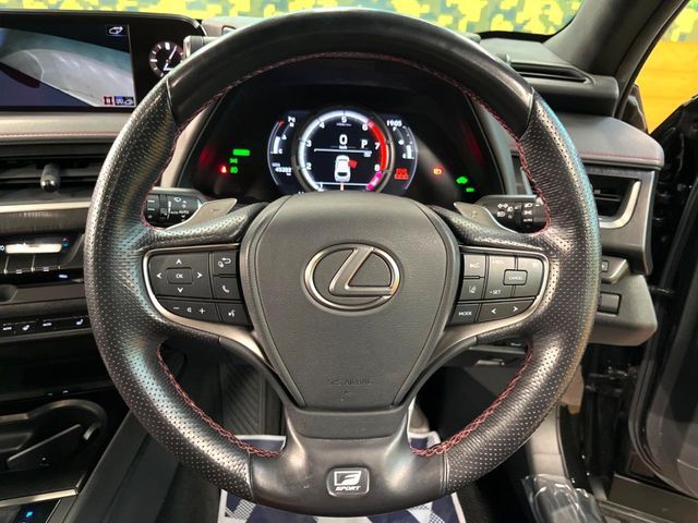 LEXUS UX250h