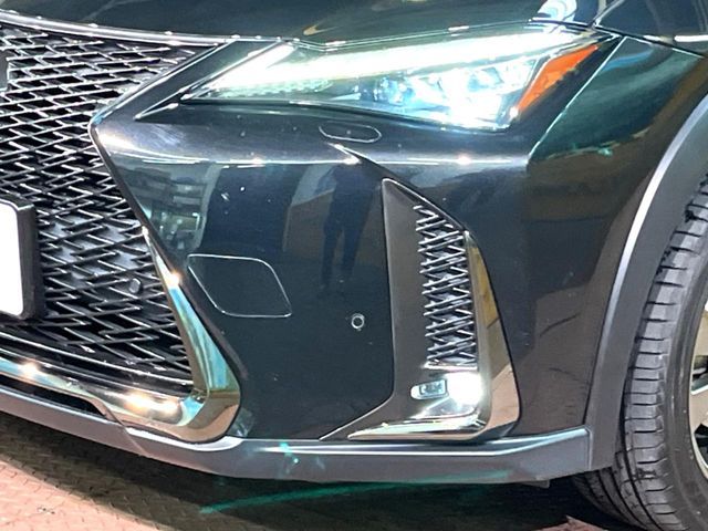 LEXUS UX250h