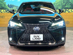 LEXUS UX250h