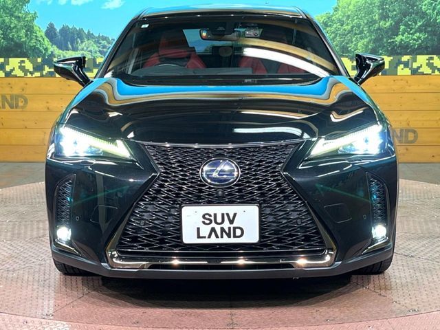 LEXUS UX250h
