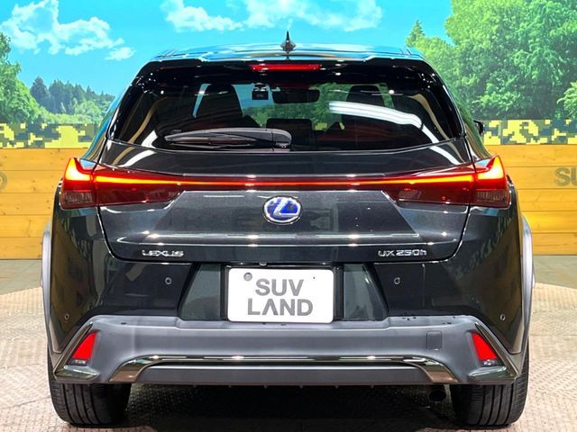 LEXUS UX250h