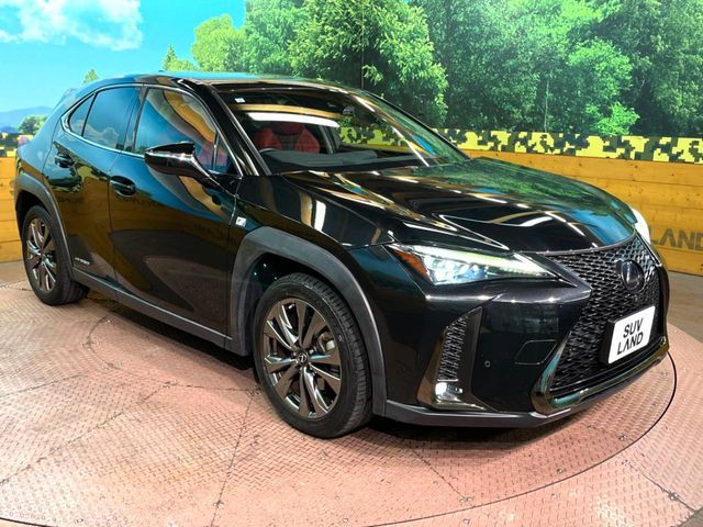 LEXUS UX250h