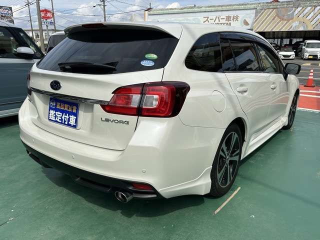 LEVORG
