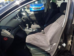 Sylphy