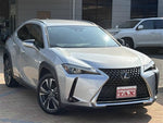 LEXUS UX250h