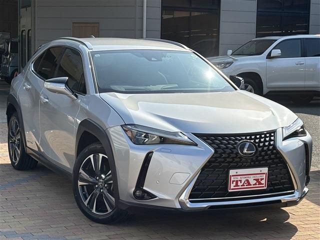 LEXUS UX250h
