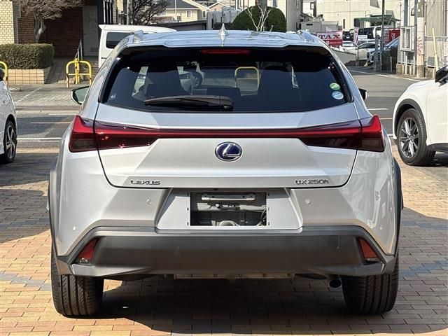 LEXUS UX250h