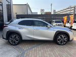 LEXUS UX250h