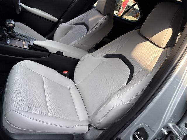 LEXUS UX250h