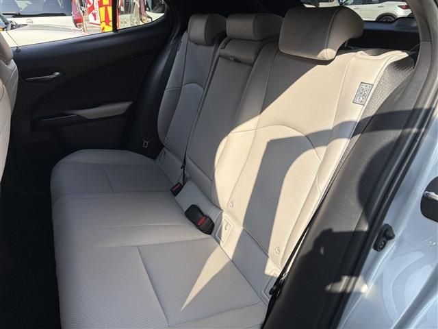 LEXUS UX250h