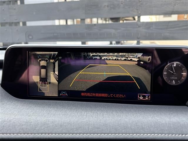 LEXUS UX250h