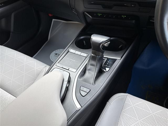 LEXUS UX250h