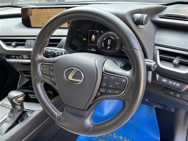 LEXUS UX250h