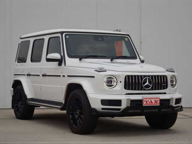 MERCEDES BENZ G class