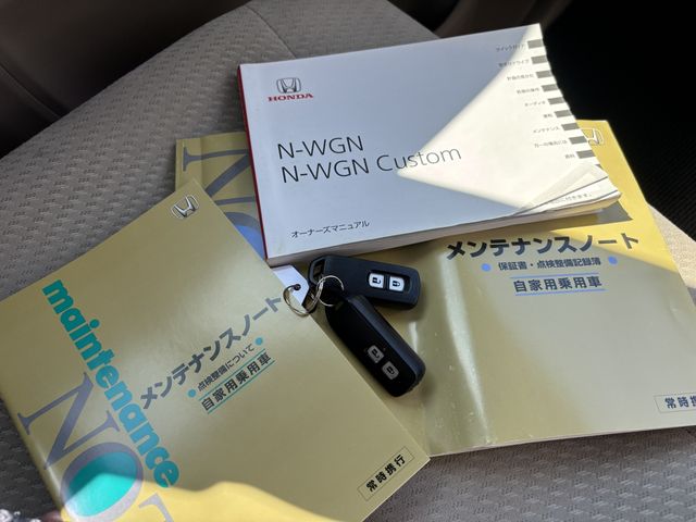 N-WGN