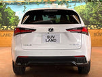 LEXUS NX300h