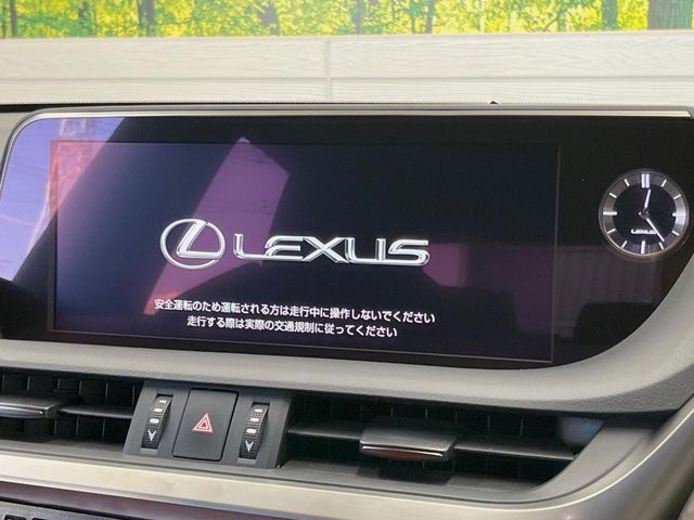 LEXUS ES300h