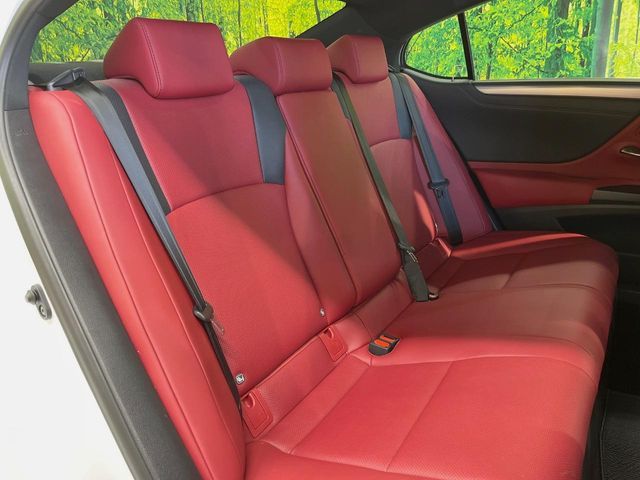 LEXUS ES300h