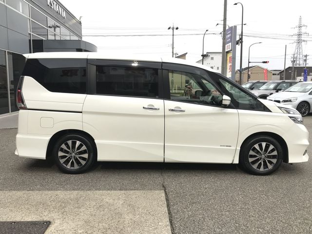 SERENA  S-HYBRID