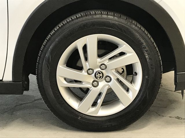 RAIZE
