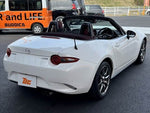 ROADSTER