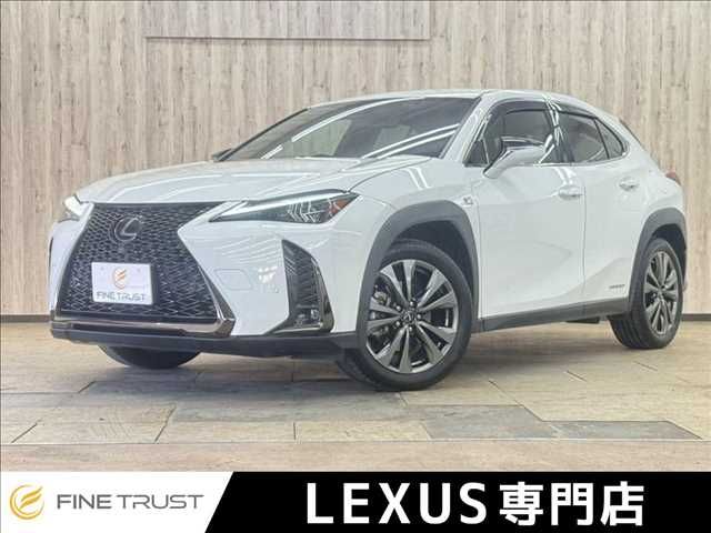 LEXUS UX250h AWD