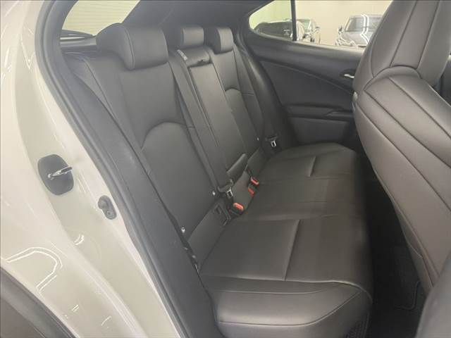 LEXUS UX250h AWD
