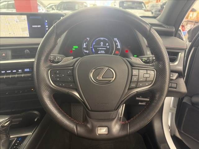 LEXUS UX250h AWD
