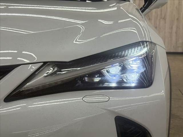 LEXUS UX250h AWD