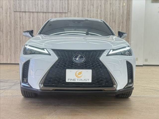 LEXUS UX250h AWD