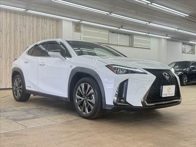 LEXUS UX250h AWD
