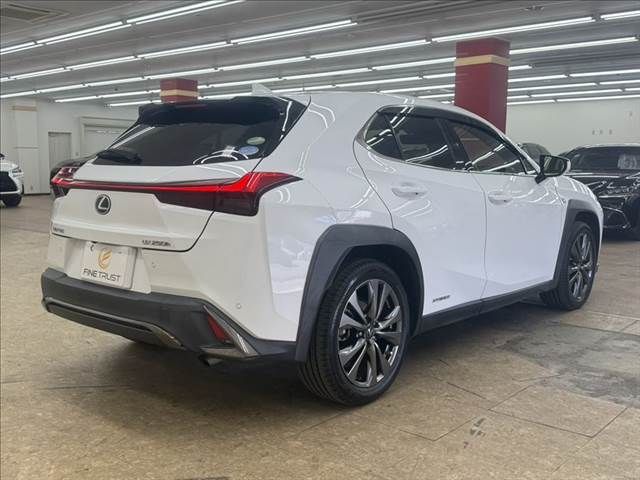 LEXUS UX250h AWD