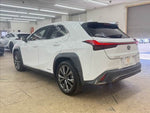 LEXUS UX250h AWD