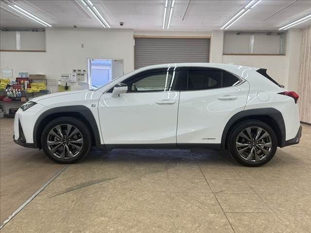 LEXUS UX250h AWD